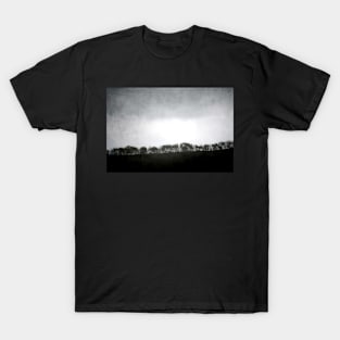 Trees on a Hill at Dusk T-Shirt